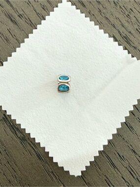 Sterling Silver Blue Crystal Chamilia charm